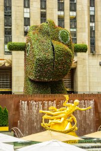 New York, NY, USA - June 24, 2014: Rockefeller Center, located in the heart of Midtown Manhattan, with the golden Greek Prometheus statue and the "Split-Rocker" flower scultpure by Jeff Koons.